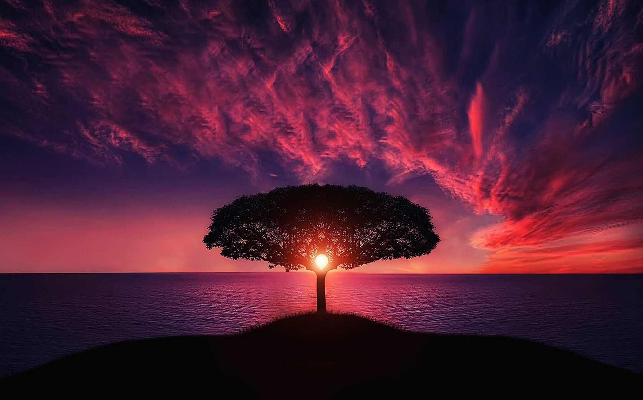 custom tree-1